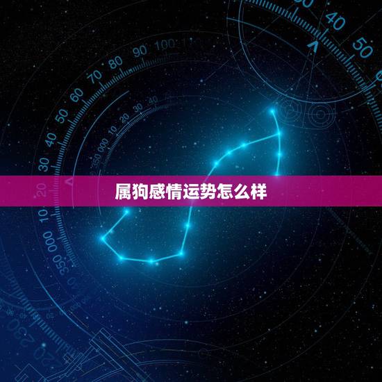 属狗感情运势怎么样,属狗今年感情运怎样? 属狗感情运势怎么样,属狗今年感情运怎样?