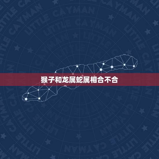 猴子和龙属蛇属相合不合,属蛇的和属猴的能相配吗? 猴子和龙属蛇属相合不合,属蛇的和属猴的能相配吗?
