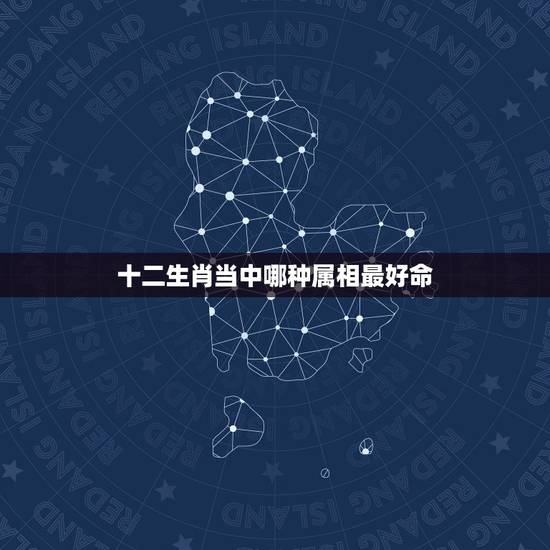 十二生肖当中哪种属相最好命,12生肖哪个属相最好? 十二生肖当中哪种属相最好命,12生肖哪个属相最好?