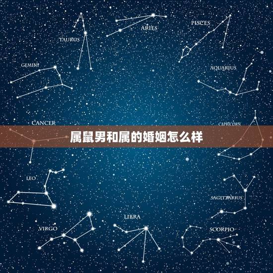 属鼠男和属的婚姻怎么样，属鼠和属鸡的婚姻怎么样