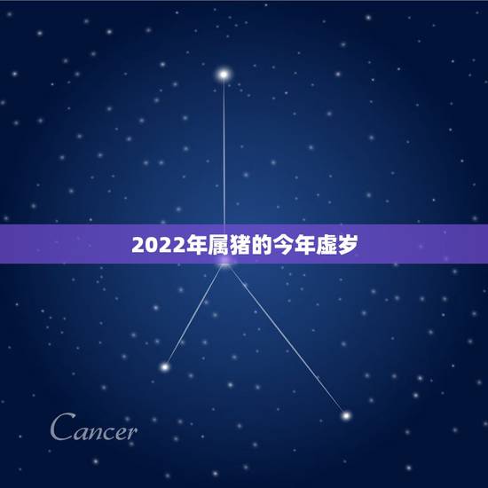 2022年属猪的今年虚岁，生肖年龄对照表2021
