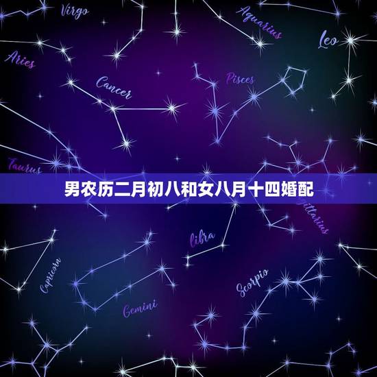 男农历二月初八和女八月十四婚配，都是89年生，女属蛇七月初八，男属蛇五