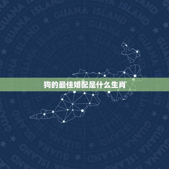 狗的最佳婚配是什么生肖，属狗的最佳配偶生肖是？