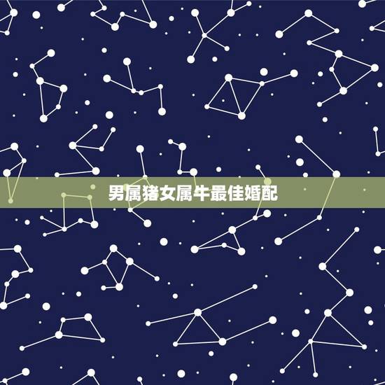 男属猪女属牛最佳婚配,男属猪女属牛相配好吗 男属猪女属牛最佳婚配,男属猪女属牛相配好吗