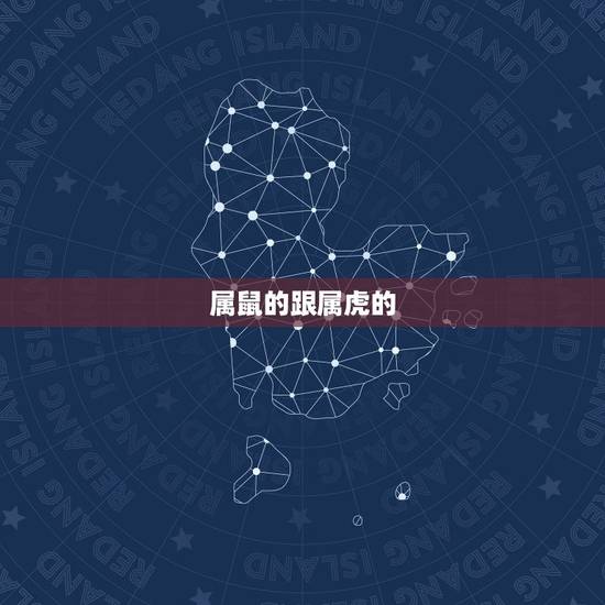属鼠的跟属虎的,鼠和虎的属相适合做夫妻吗 属鼠的跟属虎的,鼠和虎的属相适合做夫妻吗
