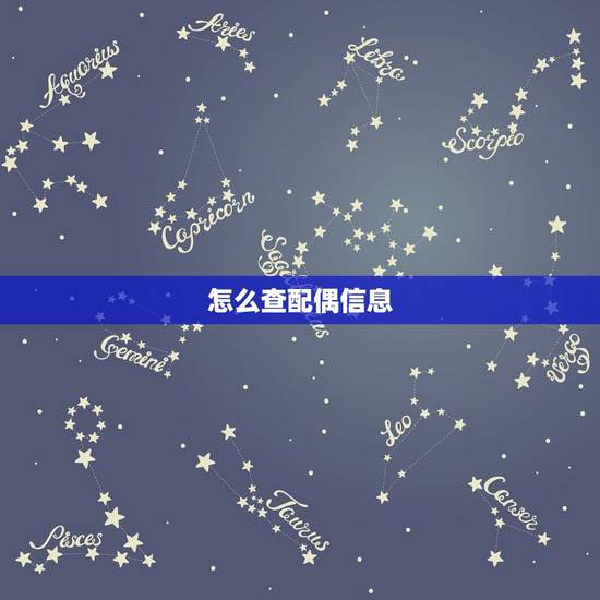 怎么查配偶信息,怎么查qq宠物配偶主人的信息 怎么查配偶信息,怎么查qq宠物配偶主人的信息