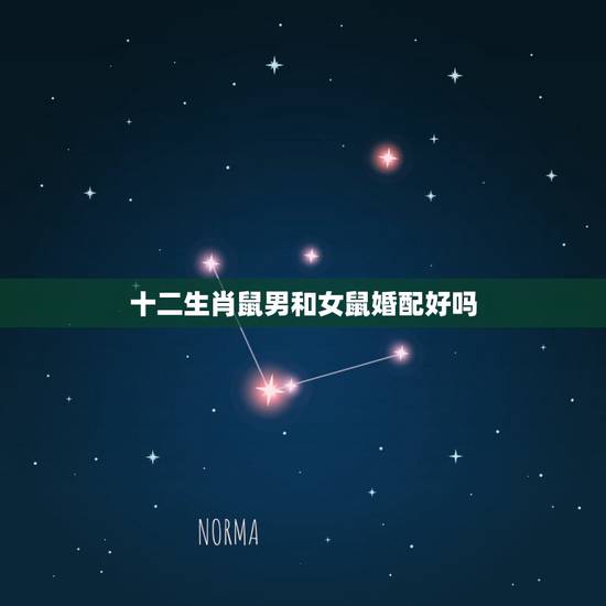 十二生肖鼠男和女鼠婚配好吗,属鼠女跟属鼠男的可以在一起结婚吗,相配吗? 十二生肖鼠男和女鼠婚配好吗,属鼠女跟属鼠男的可以在一起结婚吗,相配吗?