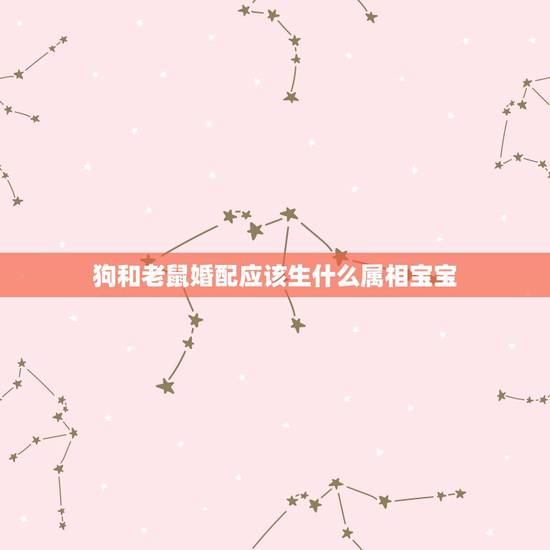 狗和老鼠婚配应该生什么属相宝宝,属鼠最佳婚配属相 狗和老鼠婚配应该生什么属相宝宝,属鼠最佳婚配属相