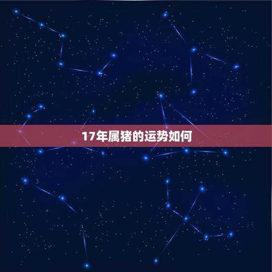17年属猪的运势如何，属猪人的运势怎么样？