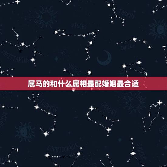 属马的和什么属相最配婚姻最合适，属马男和什么属相最配