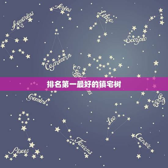 排名第一最好的镇宅树，门前种什么树镇宅旺财