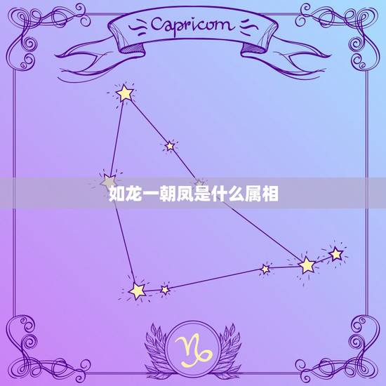 如龙一朝凤是什么属相，一朝如龙一朝凤。猜－生肖