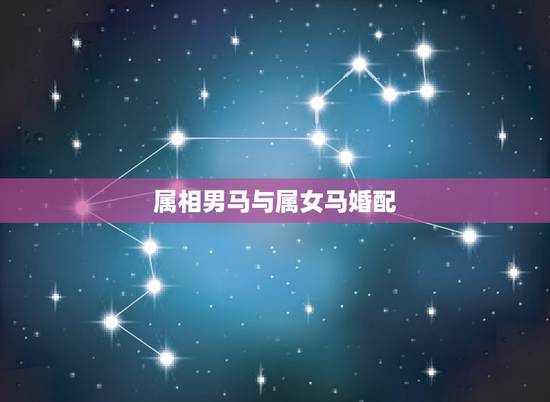 属相男马与属女马婚配，属相婚配：男属马和女属鼠相配吗？