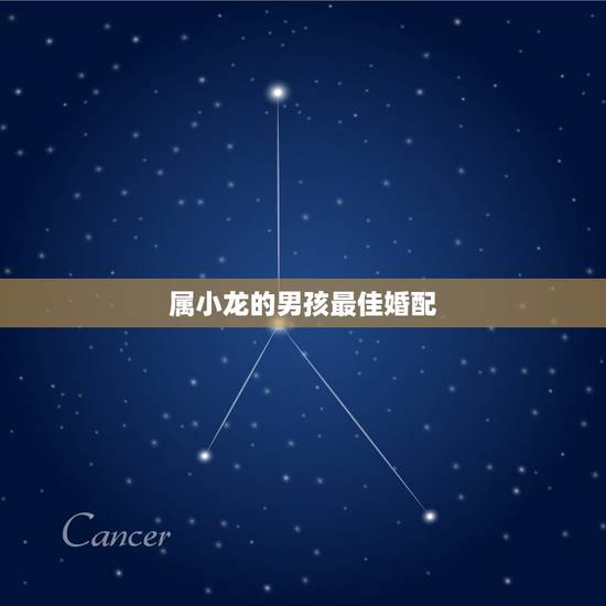 属小龙的男孩最佳婚配,属相龙的女和属相男的虎婚姻相配吗 属小龙的男孩最佳婚配,属相龙的女和属相男的虎婚姻相配吗