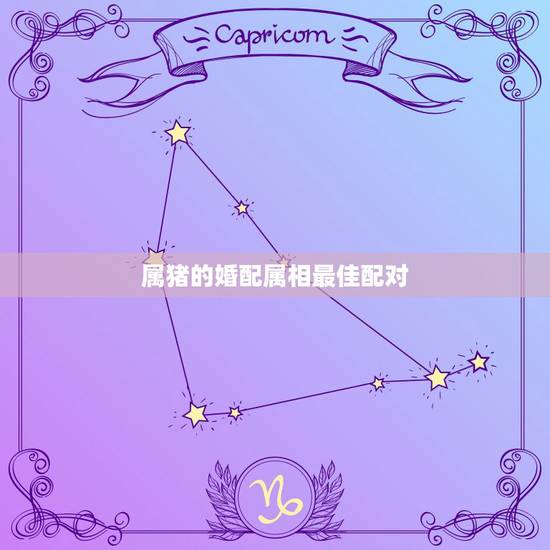属猪的婚配属相最佳配对,属猪的属相婚配表 揭秘和什么属相最配 属猪的婚配属相最佳配对,属猪的属相婚配表 揭秘和什么属相最配