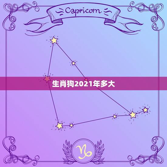 生肖狗2021年多大，数狗的2021年多大岁数