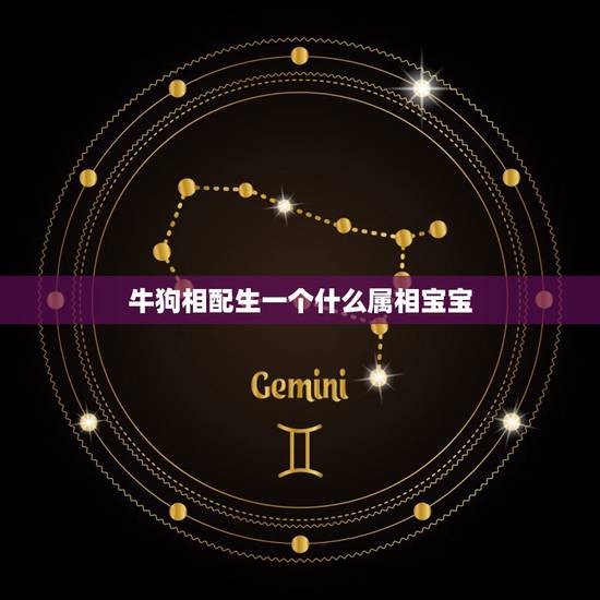 牛狗相配生一个什么属相宝宝，属狗和属牛的生什么属相的孩子比较好