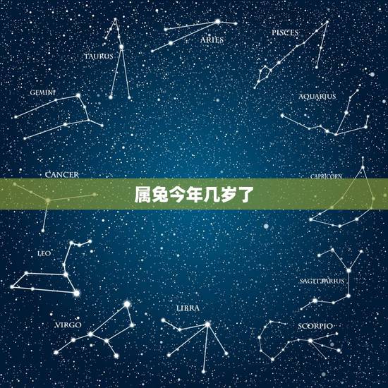 属兔今年几岁了,属虎的今年几岁了 属兔今年几岁了,属虎的今年几岁了