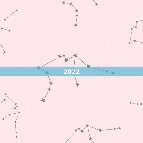 2022 年看日子老黄历，顺历老黄历旧版