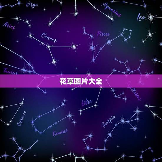 花草图片大全,花卉图片大全 花草图片大全,花卉图片大全
