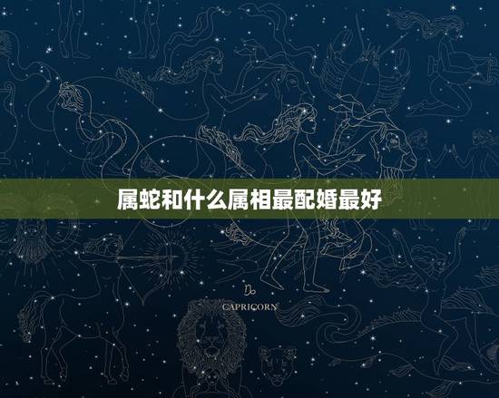 属蛇和什么属相最配婚最好，属蛇的和什么属相最配最合适呢