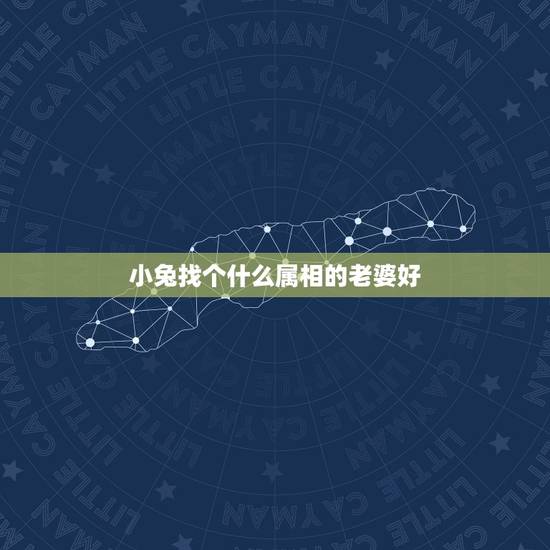 小兔找个什么属相的老婆好,属兔的娶哪个方向的老婆好 小兔找个什么属相的老婆好,属兔的娶哪个方向的老婆好