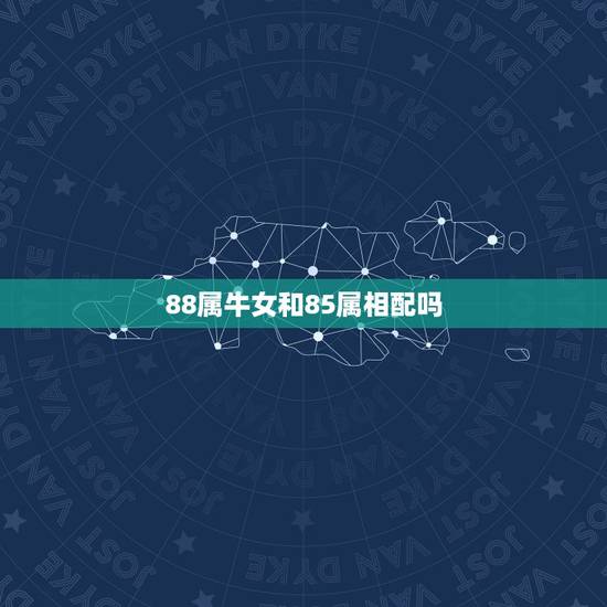 88属牛女和85属相配吗,我是85年属牛的,对象是88年属龙,我们属相 88属牛女和85属相配吗,我是85年属牛的,对象是88年属龙,我们属相