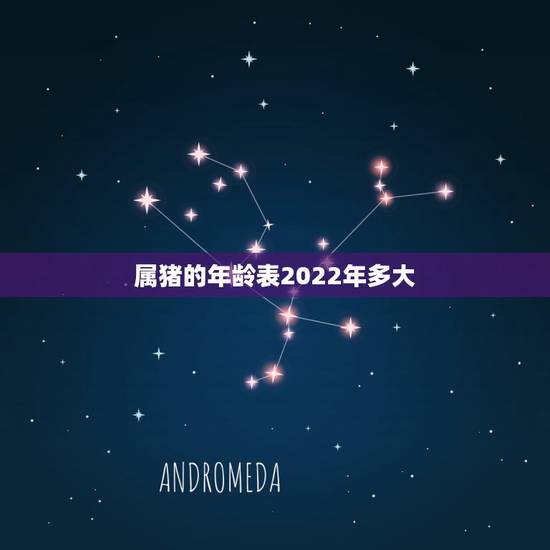 属猪的年龄表2022年多大,2022年最倒霉的生肖女 属猪的年龄表2022年多大,2022年最倒霉的生肖女