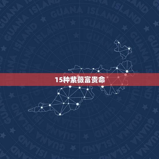 15种紫薇富贵命，紫薇命格有哪些？比如除了杀、破、狼，还有哪些。