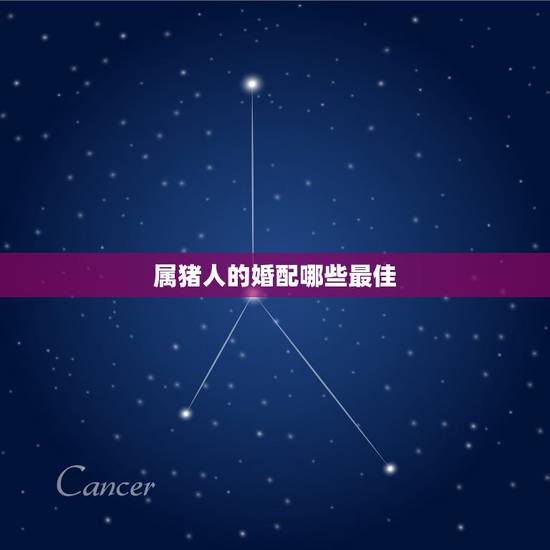 属猪人的婚配哪些最佳，属猪的和什么属相最配 属猪的属相婚配表