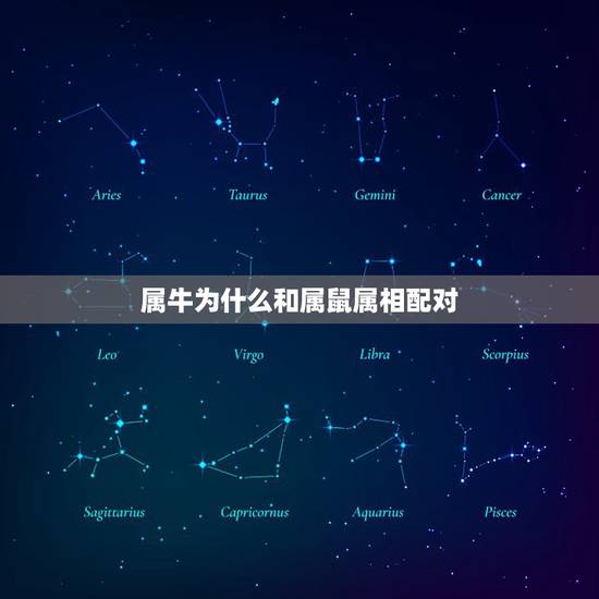 属牛为什么和属鼠属相配对,属牛的与属鼠的相配吗 属牛为什么和属鼠属相配对,属牛的与属鼠的相配吗