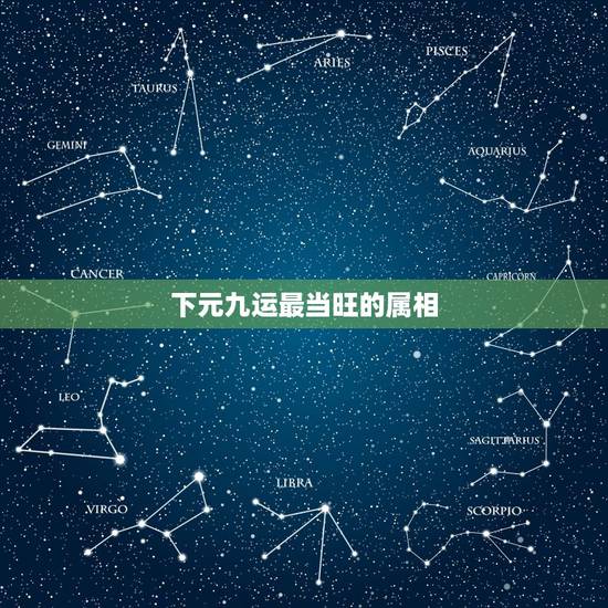 下元九运最当旺的属相,下元九运亥山巳向当旺吗? 下元九运最当旺的属相,下元九运亥山巳向当旺吗?
