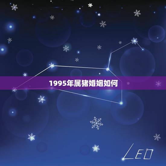 1995年属猪婚姻如何,1995年属猪人婚姻命运 1995年属猪婚姻如何,1995年属猪人婚姻命运