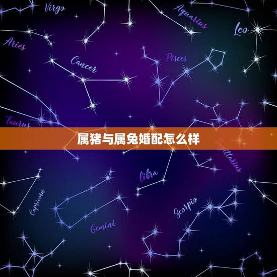 属猪与属兔婚配怎么样,属兔的和属猪的相配吗 属猪与属兔婚配怎么样,属兔的和属猪的相配吗