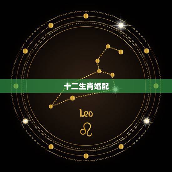 十二生肖婚配,生肖配对 十二生肖婚配,生肖配对