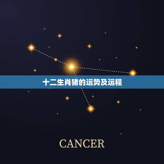 十二生肖猪的运势及运程，属相猪的蛇年的运势如何