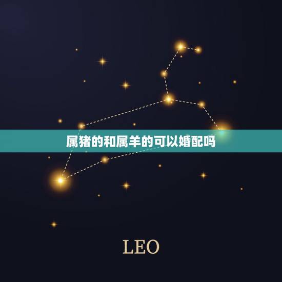 属猪的和属羊的可以婚配吗,男属羊女属猪相配吗? 属猪的和属羊的可以婚配吗,男属羊女属猪相配吗?