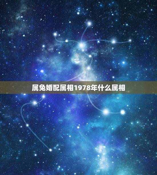 属兔婚配属相1978年什么属相，属相婚配表之属兔的和什么属相相配