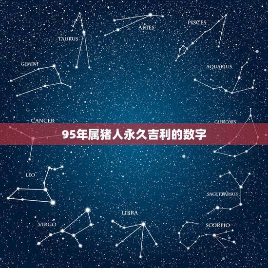 95年属猪人永久吉利的数字,属猪男孩最吉利的名字 95年属猪人永久吉利的数字,属猪男孩最吉利的名字