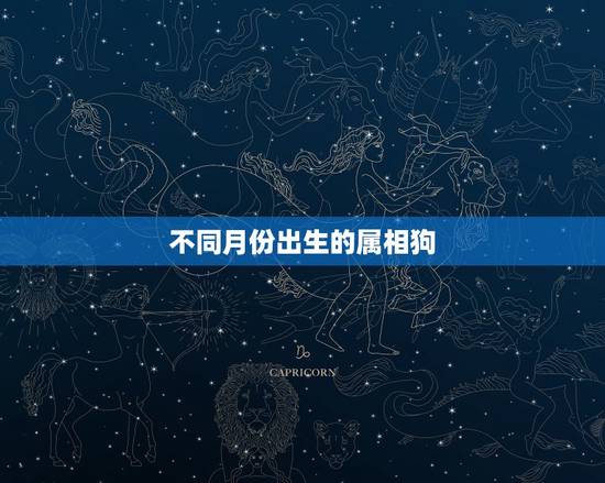 不同月份出生的属相狗,属狗的几月出生最好 详细 不同月份出生的属相狗,属狗的几月出生最好 详细