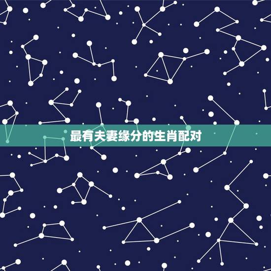 最有夫妻缘分的生肖配对,十二生肖最匹配的夫妻 最有夫妻缘分的生肖配对,十二生肖最匹配的夫妻