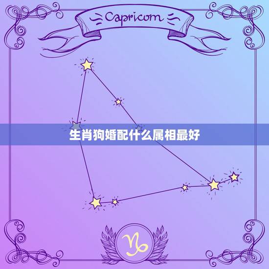生肖狗婚配什么属相最好,狗和什么属相最配 生肖狗婚配什么属相最好,狗和什么属相最配