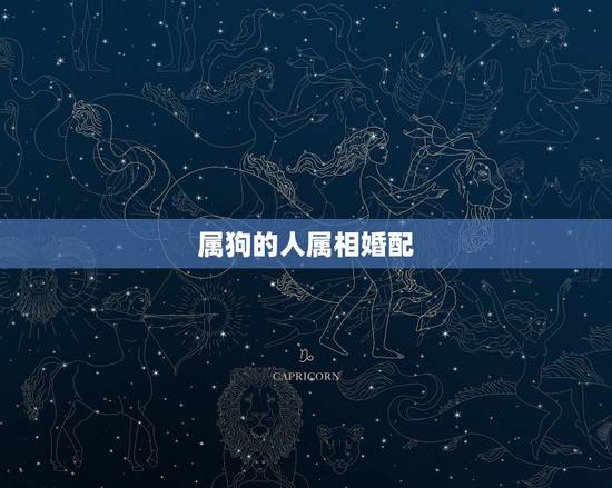 属狗的人属相婚配，属狗的人和什么属相相配最好