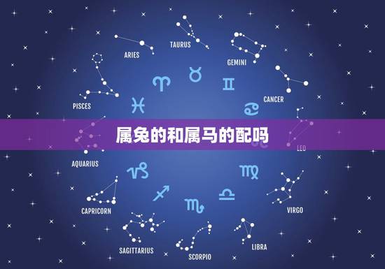 属兔的和属马的配吗，属马和属兔的人合不合