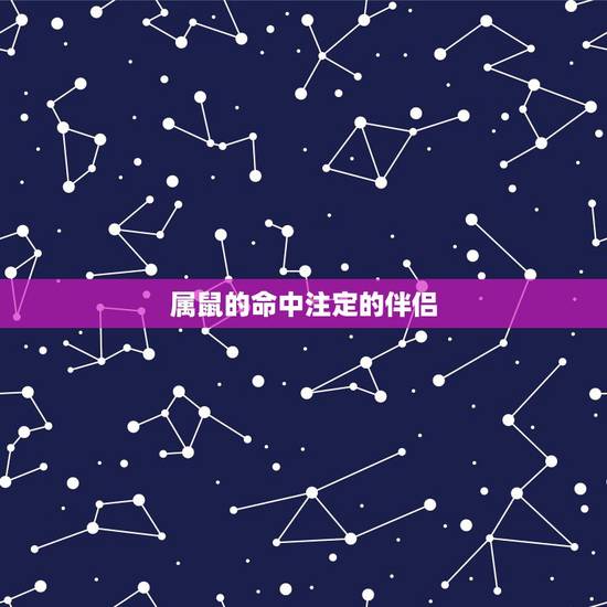 属鼠的命中注定的伴侣，微信上说鼠人是命中注定要离婚的人，请问朋友们是真