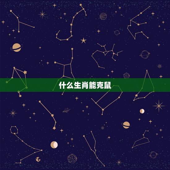 什么生肖能克鼠，鼠配什么生肖更好