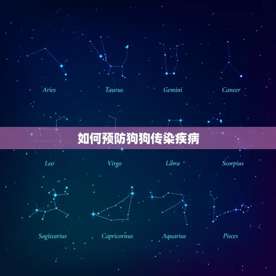 如何预防狗狗传染疾病 如何预防狗狗传染疾病