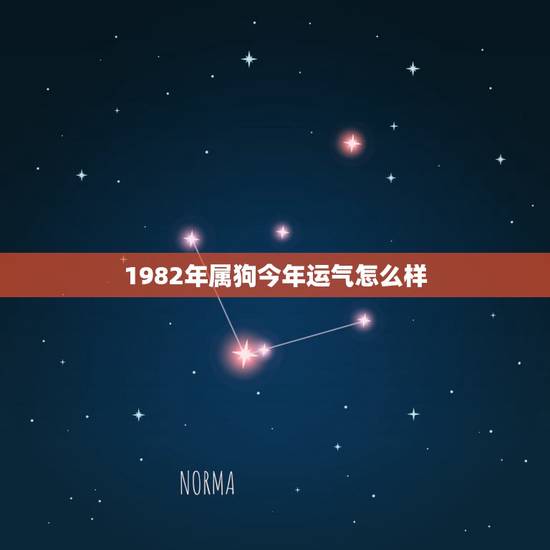 1982年属狗今年运气怎么样,82年属狗人一生运势如何? 1982年属狗今年运气怎么样,82年属狗人一生运势如何?