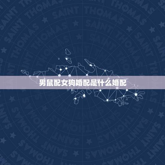 男鼠配女狗婚配是什么婚配,男鼠和女狗相配婚姻如何 男鼠配女狗婚配是什么婚配,男鼠和女狗相配婚姻如何