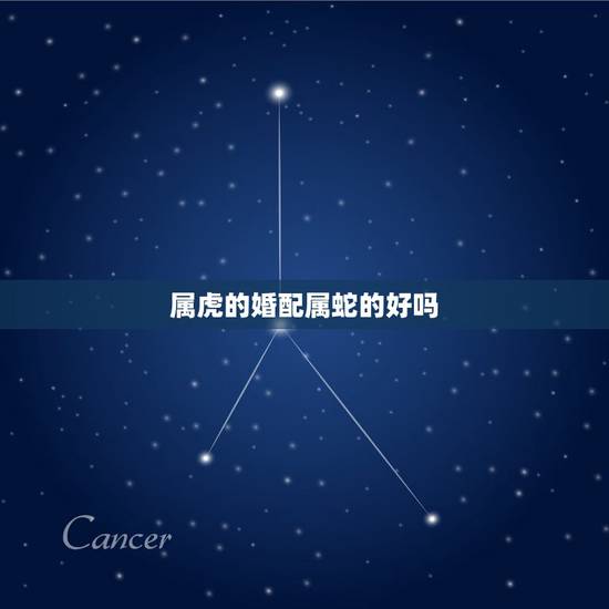 属虎的婚配属蛇的好吗，属虎女和属蛇男的婚配好不好